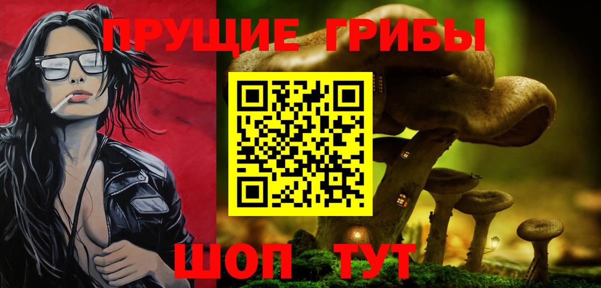 Егорьевск  где купить наркотик  Вход с VPN  Галлюциногенные грибы мицелий 